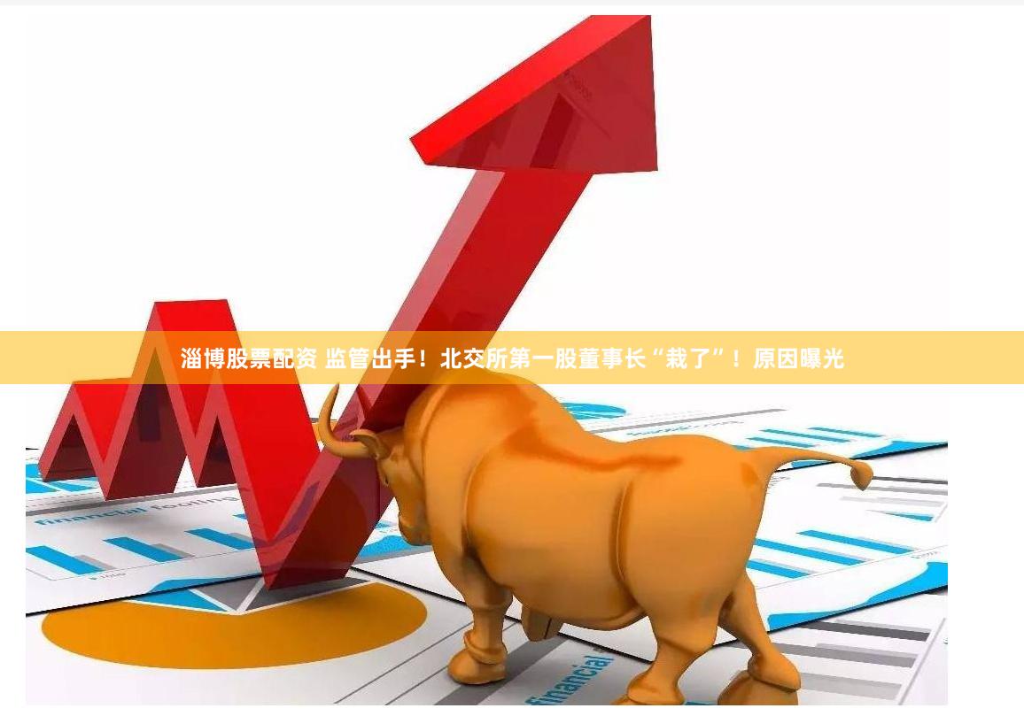 淄博股票配资 监管出手！北交所第一股董事长“栽了”！原因曝光