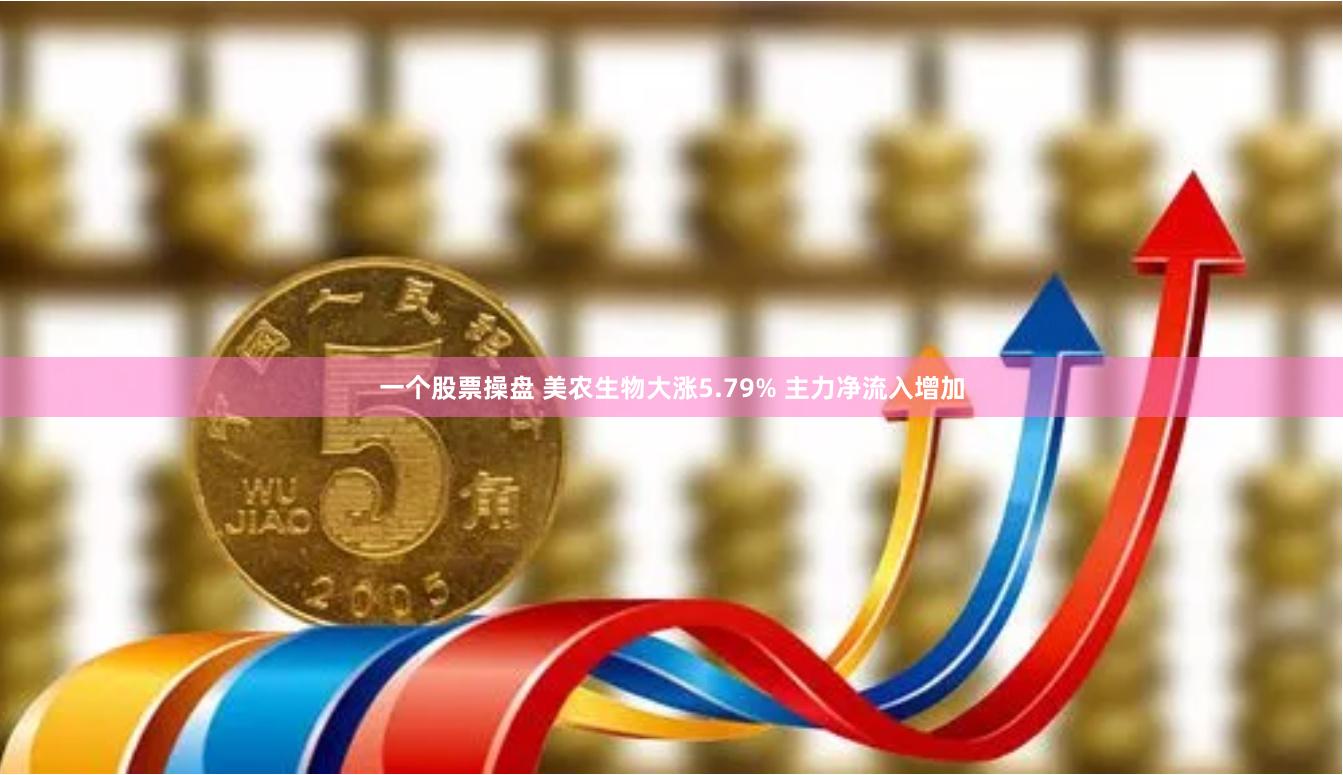 一个股票操盘 美农生物大涨5.79% 主力净流入增加