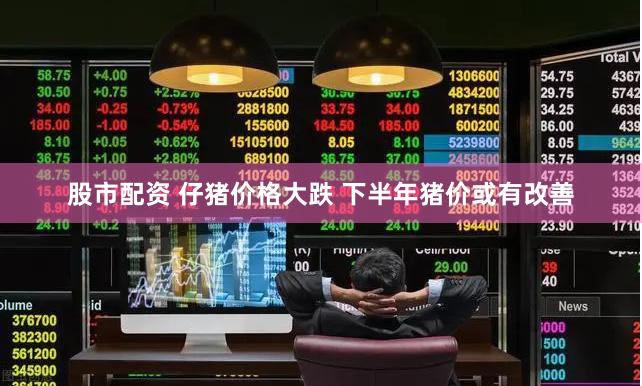 股市配资 仔猪价格大跌 下半年猪价或有改善