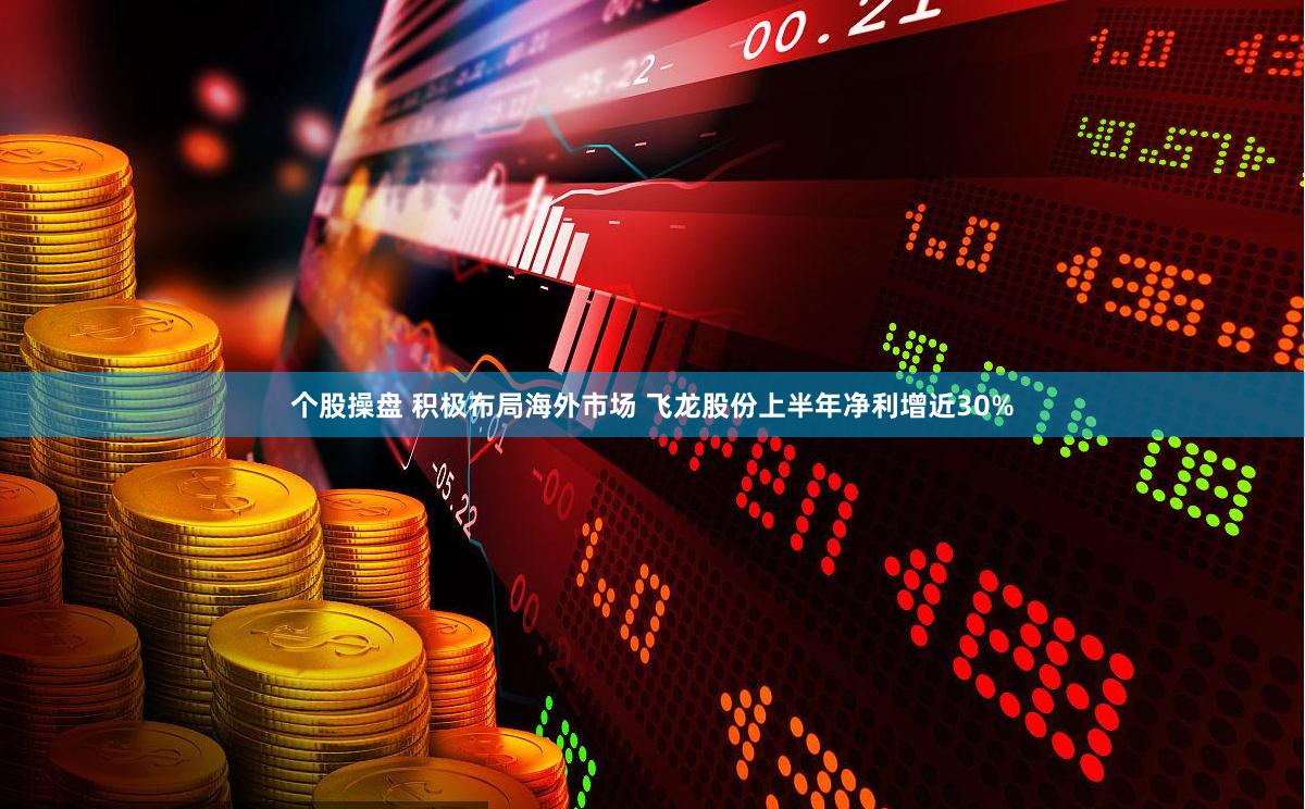 个股操盘 积极布局海外市场 飞龙股份上半年净利增近30%