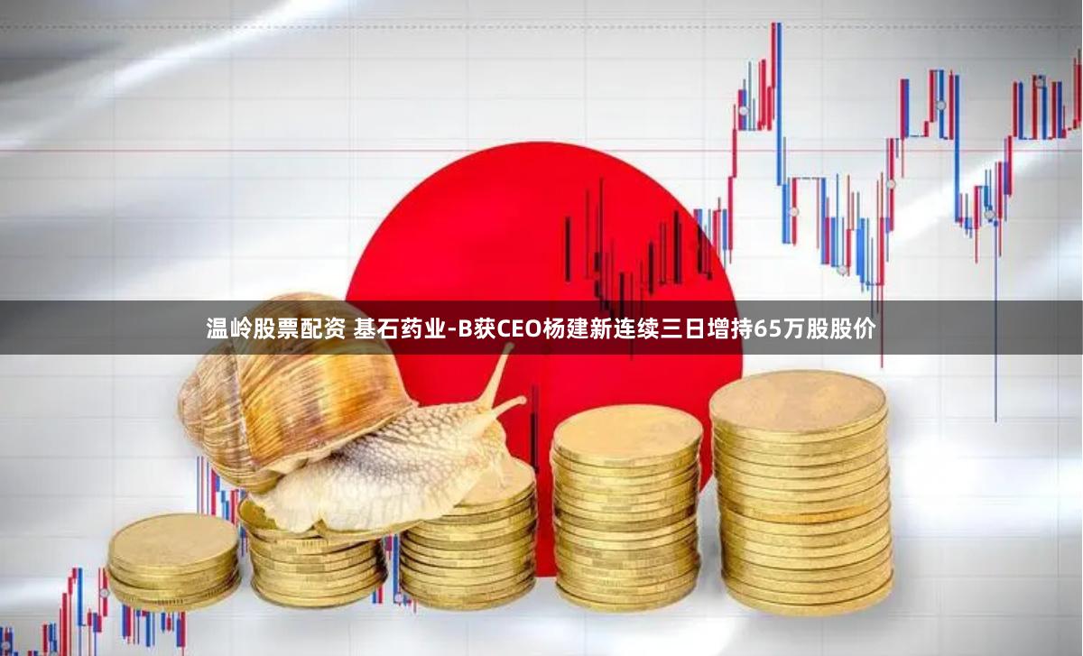 温岭股票配资 基石药业-B获CEO杨建新连续三日增持65万股股价