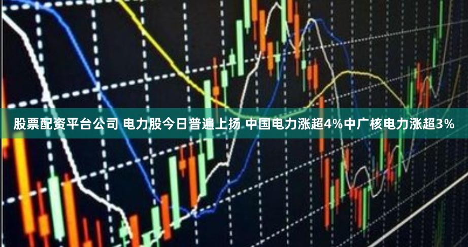股票配资平台公司 电力股今日普遍上扬 中国电力涨超4%中广核电力涨超3%