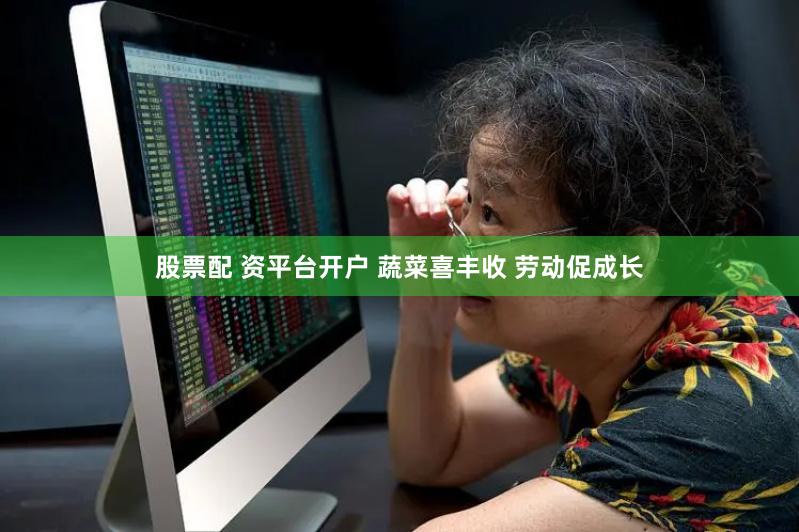 股票配 资平台开户 蔬菜喜丰收 劳动促成长