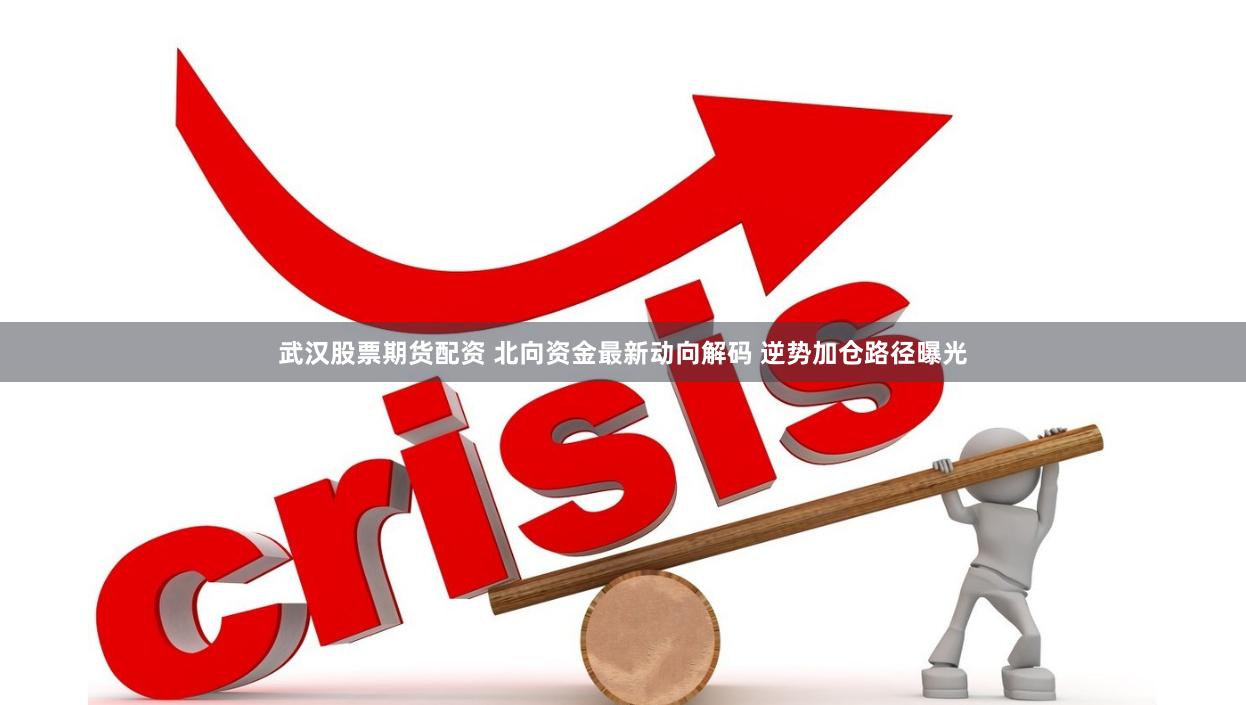 武汉股票期货配资 北向资金最新动向解码 逆势加仓路径曝光