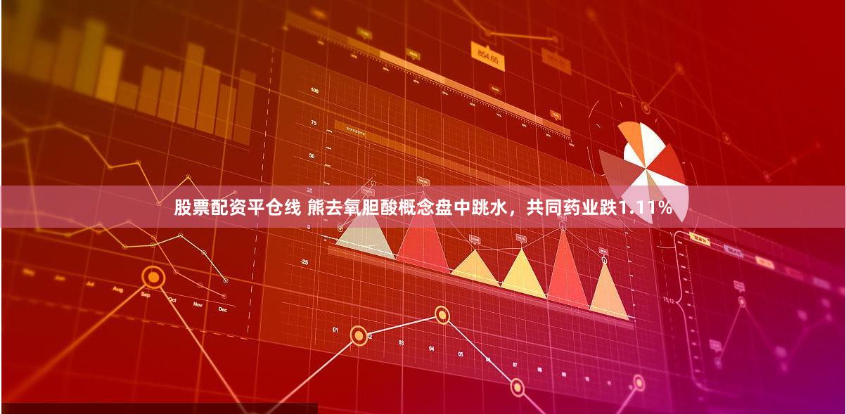 股票配资平仓线 熊去氧胆酸概念盘中跳水，共同药业跌1.11%