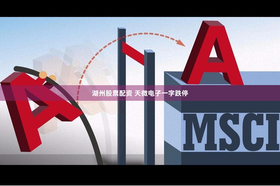 湖州股票配资 天微电子一字跌停