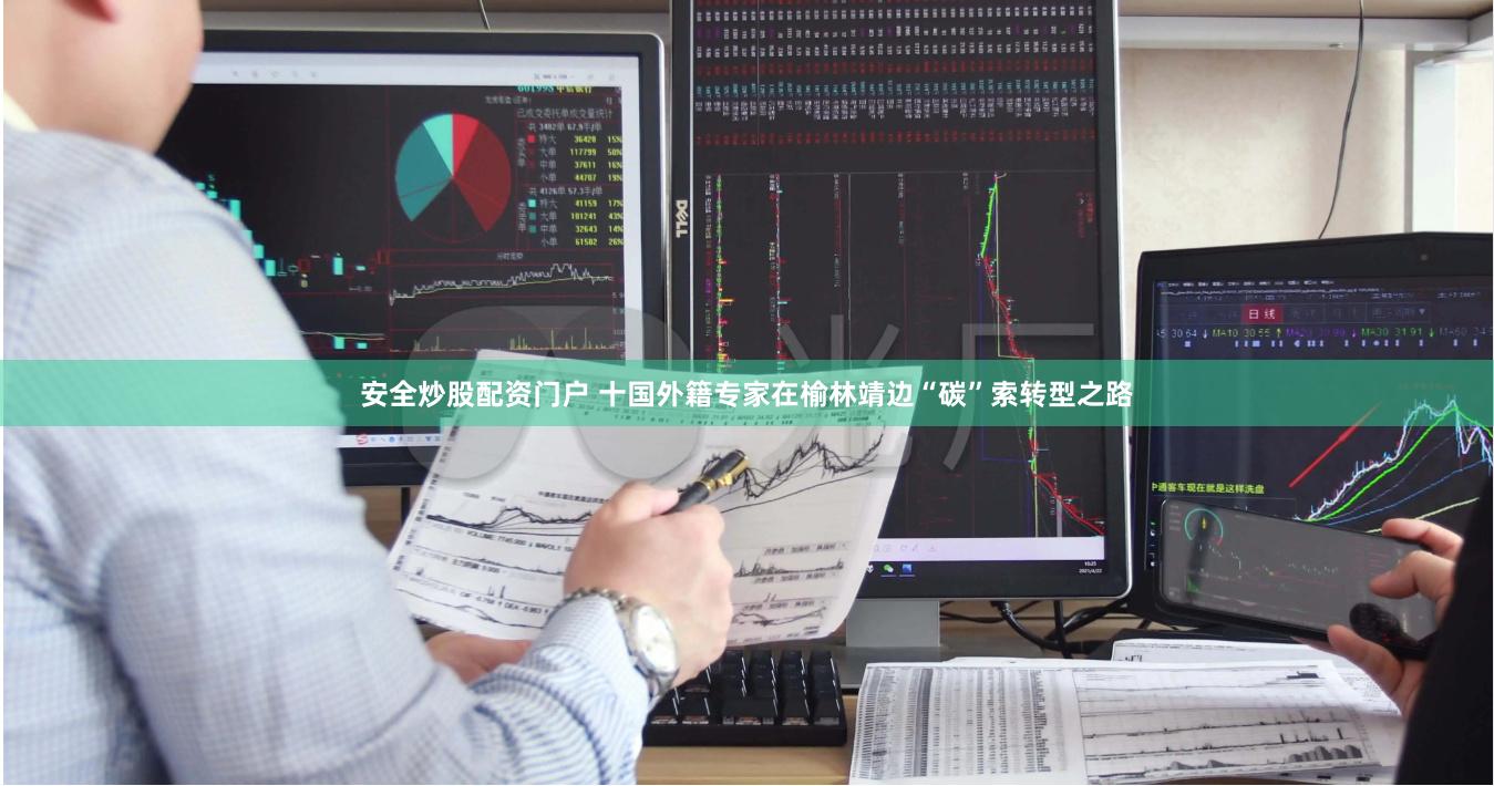 安全炒股配资门户 十国外籍专家在榆林靖边“碳”索转型之路