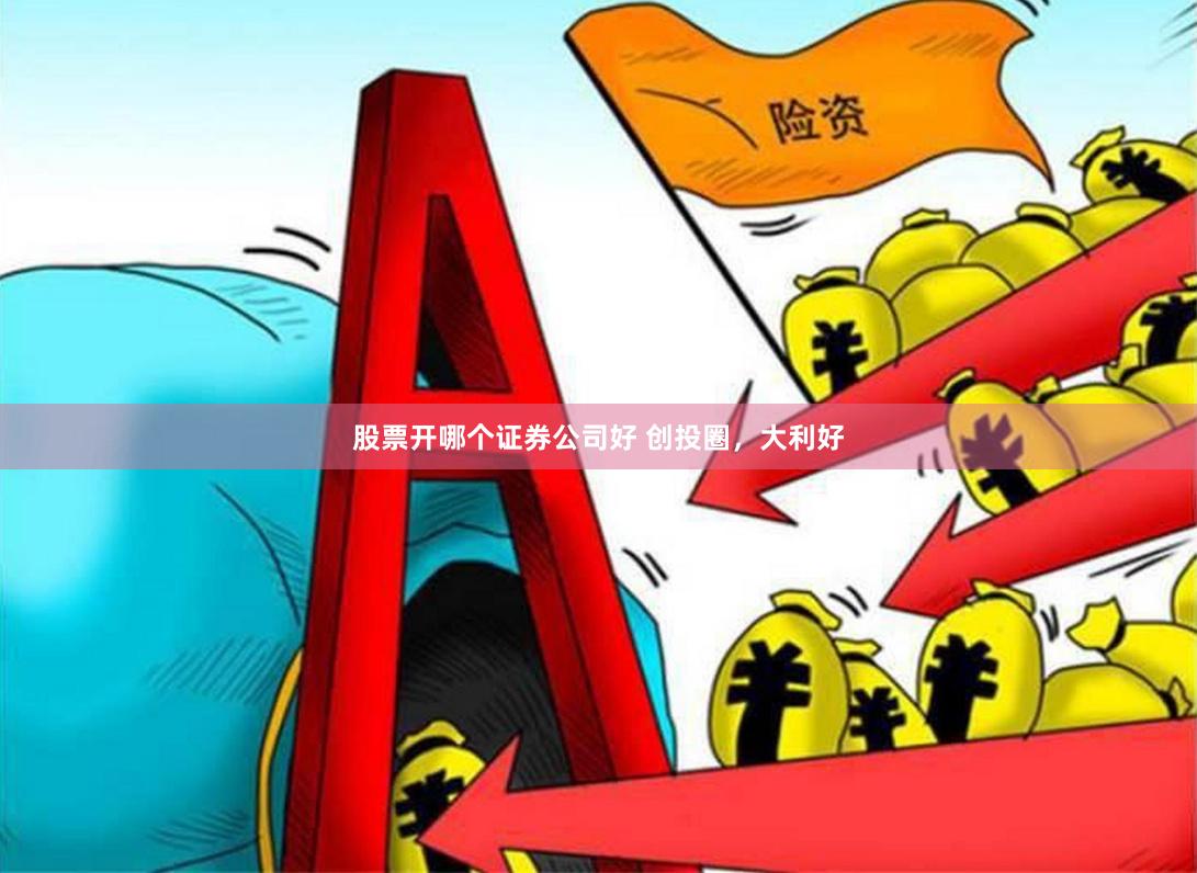 股票开哪个证券公司好 创投圈，大利好
